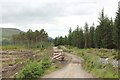 NN5388 : Forest track, Ardverikie Estate by Graham Robson