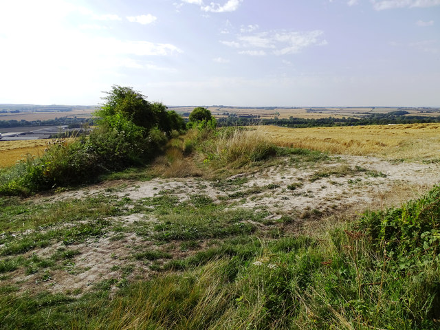 The Monarch's Way, west of Figsbury Ring