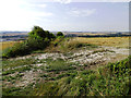 SU1833 : The Monarch's Way, west of Figsbury Ring by Brian Robert Marshall