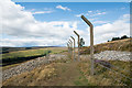 NZ0643 : Fence along plantation on Drypry Hill by Trevor Littlewood