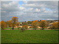 SY6294 : Colourful spring trees with Frampton Church in the distance by Maggie Cox