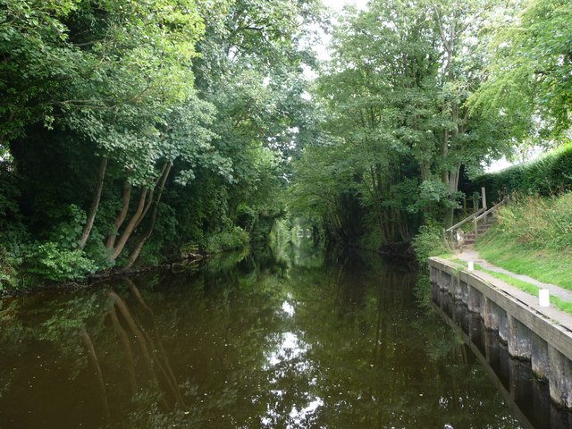 Milby Cut, River Ure, looking east