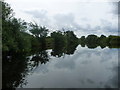 SE3866 : The River Ure, looking upstream [locally south] by Christine Johnstone