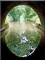 SP6484 : Emerging from Husband Bosworth Tunnel, Leicester by Roger  D Kidd