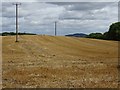 SO6855 : Electricity poles in a stubble field by Philip Halling