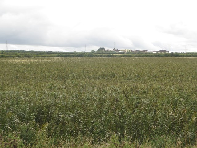 Arable field east of North Moor Farm