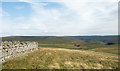 NY7548 : Grassy moorland on Hard Rigg by Trevor Littlewood