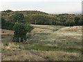 SJ8048 : Path to Bateswood from Alsagers Bank by Jonathan Hutchins