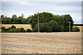 SP7549 : Telegraph Wires crossing Farmland near Stoke Bruerne by David Dixon