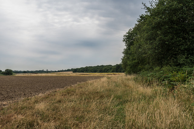 Field off Ashtead Common