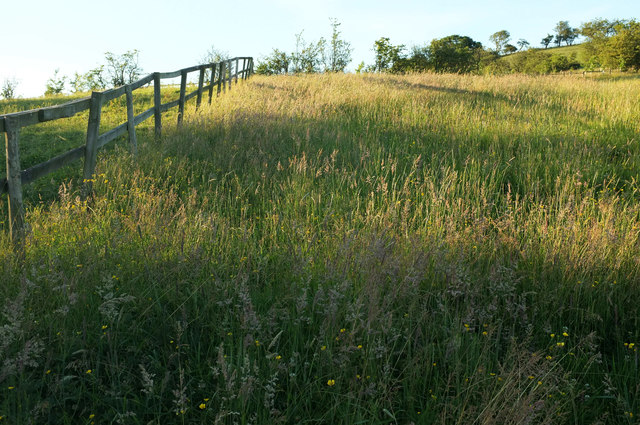 Meadow near Oak Bank Farm