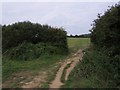 SY4691 : Monarch's and Hardy Way near Bridport by Becky Williamson