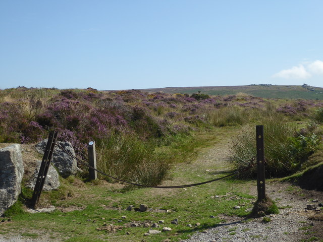 Dartmoor near Warren House