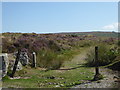 SX6781 : Dartmoor near Warren House by Chris Allen