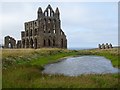 NZ9011 : Whitby Abbey by Philip Halling