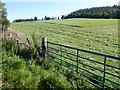 NJ6000 : Hilltop hayfield near Leyton by Stanley Howe