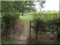 TQ5042 : Public footpath near Penshurst by Malc McDonald