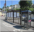 SX2553 : Looe Valley Line information boards and a BT phonebox, Looe by Jaggery