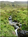 NY4414 : A tributary of Rampsgill Beck by Christine Johnstone