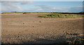 NH8195 : Seasonally flooded dune slacks, Coul Links by Richard Sutcliffe