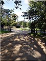 SU9841 : The entrance road to Winkworth Arboretum by Graham Hogg