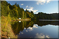 NN9159 : East Shore of Loch Faskally, Perthshire, Scotland by Andrew Tryon