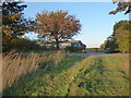  : Evening sunlight near Walk Farm by Marathon