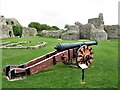 TQ6404 : The Pevensey Gun, Pevensey Castle by G Laird