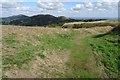 SO7640 : Earthworks on the British Camp by Philip Halling