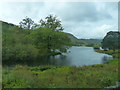 NY3606 : A view from the A591, Rydal by Robin Drayton