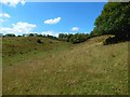 NS3877 : A slope near Nether Dalquhurn by Lairich Rig