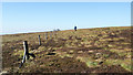 NY9102 : Fence on south side of summit of Rogan's Seat by Trevor Littlewood