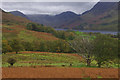 NY1717 : Above Buttermere village by Ian Taylor