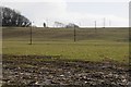 ST6051 : Electricity poles in a field of winter cereals by Philip Halling