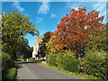 TQ5251 : Autumn colour, Sevenoaks Weald by Malc McDonald