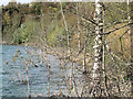 SP9314 : Bracket Fungus on a tree killed by rising water in College Lake by Chris Reynolds