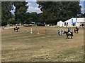 ST8898 : Showjumping warm-up arena at Gatcombe Horse Trials by Jonathan Hutchins