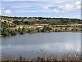 SJ8147 : Silverdale Country Park by Jonathan Hutchins