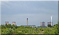 SJ5486 : Fiddler's Ferry Power Station by Chris Allen