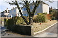 NX9819 : Entrance to #61 Loop Road North and adjacent houses by Roger Templeman