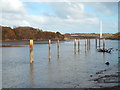 NZ3557 : Jetty posts in the River Wear, near South Hylton by Malc McDonald