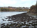 NZ3657 : Mudflats on the River Wear near Sunderland by Malc McDonald