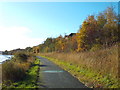 NZ3658 : Shared use path along the River Wear, Sunderland by Malc McDonald