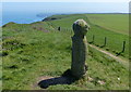 TA2173 : Puffin sculpture at Dykes End by Mat Fascione