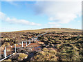 NY9132 : Peat bog north-west of Westernhope Moor's summit by Trevor Littlewood