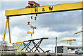 J3575 : Goliath lifting, Belfast - November 2018(1) by Albert Bridge