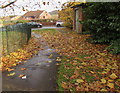 ST3090 : Fallen leaves on a path, Malpas, Newport by Jaggery