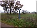 SE4963 : NCN milepost on Hag Lane by Oliver Dixon