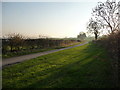 NZ4808 : Wide verge on Holme Lane, near Windy Hill by Christine Johnstone