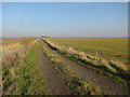 TL2291 : Northern Loop, Great Fen by Hugh Venables